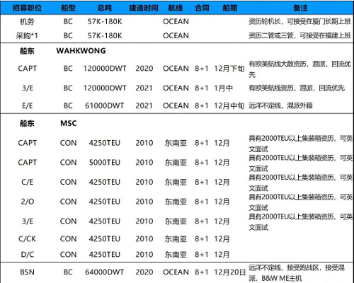 持續招募|廈門華洋岸基、散貨、集裝箱船隊多職位招募需求！11月29日